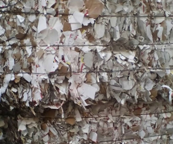BBC waste paper scrap wholesale supplier